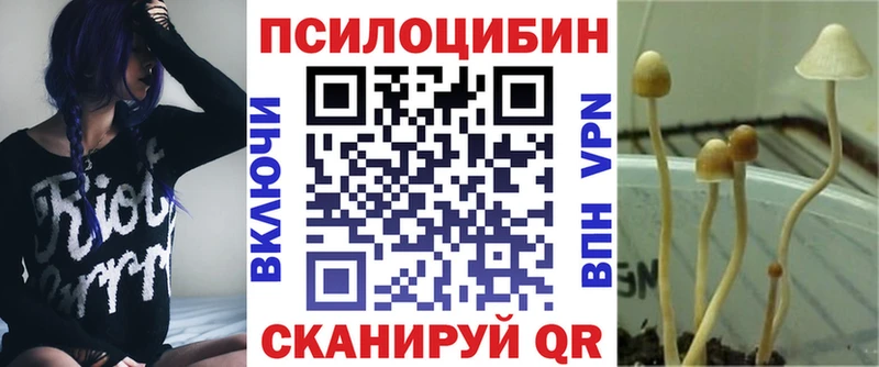 Купить где  Новая Ладога  Галлюциногенные грибы мухоморы 